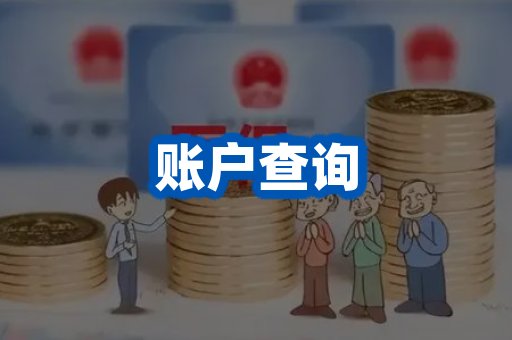 账户查询案例